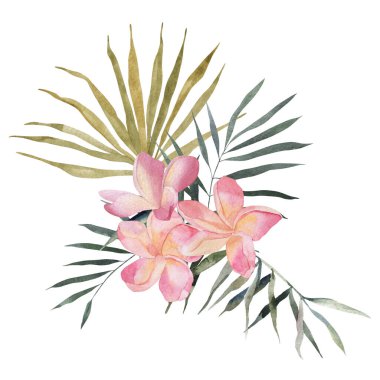 Plumeria, palm leaf. Watercolor Hand drawn botanical illustrations composition. Isolated on white background. Summer beach swimwear print. For wallpaper design, posters, childrens fabric.
