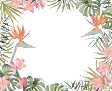 Hand drawing watercolor summer banner - Strelitzia, plumeria, monstera, palm leaf. On white background with space for text. For scrapbooking, cards for birthday, party, baby shower,