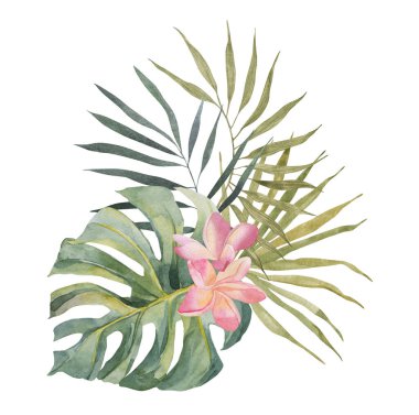 Plumeria, monstera, palm leaf. Watercolor Hand drawn botanical illustrations composition. Isolated on white background. Summer beach swimwear print. For design, textiles, wear.