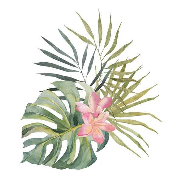 Plumeria, monstera, palm leaf. Watercolor Hand drawn botanical illustrations composition. Isolated on white background. Summer beach swimwear print. For design, textiles, wear. — Fotografia de Stock