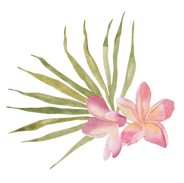 Plumeria and palm leaf. Watercolor Hand drawn botanical illustrations composition. Isolated on white background. Summer beach print. For design, textiles, wear. — Fotografia de Stock
