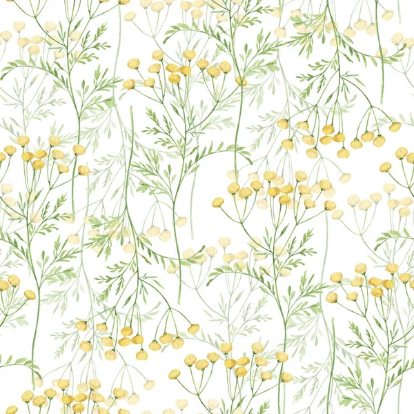 Akvarell botaniska sömlösa mönster Delikat äng vildblommor. Handritat tansy blommigt tryck. För födelsedagskort, inbjudan, glad påsk, mors dag, linne, omslagspapper, tapet, textil. — Stockfoto