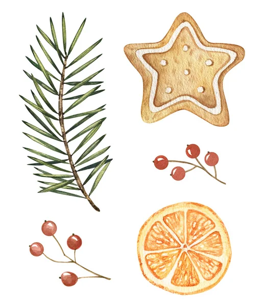 Watercolor branches set with red berries, conifer leaves, orange, ginger cookies. Hand drawn Christmas set on white background. For New year cards, template, greeting cards, graphic, poster, stickers. — Φωτογραφία Αρχείου