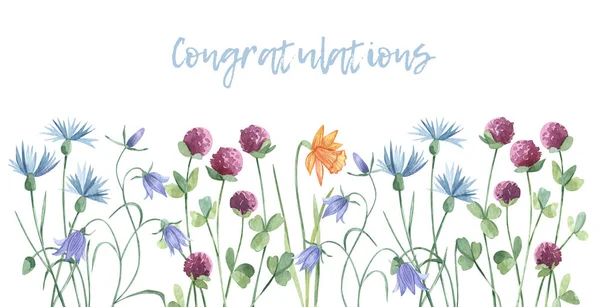 Watercolor hand painted spring wild flowers banner. Delicate meadow wildflowers. Wedding congratulation invitation, birthday card design. isolated elements on white background. mother day, valentines. — Foto de Stock