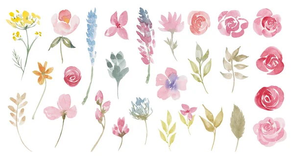 Akwarela botaniczna kolekcja dzikich kwiatów i roślin ogrodowych. Ręcznie rysowane liście, różowe kwiaty, różane gałęzie, zioła i naturalne elementy. Na urodziny, kartka weselna, zaproszenie, powitanie, Dzień Matki — Zdjęcie stockowe