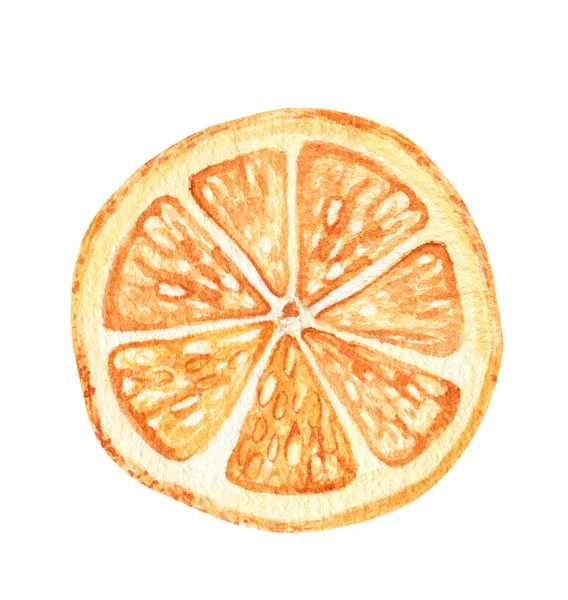Watercolor orange fruit. Hand drawn Isolated on white. Ideal for food packaging design, postcards, paper, packaging, fabric, decoration, design. — Photo
