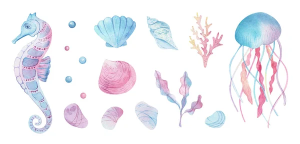 Sea animals set. Blue watercolor ocean fish and coral. Shell aquarium background. marine illustration, jellyfish, starfish — Stockfoto