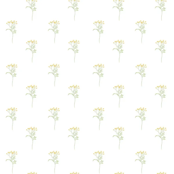 Акварель ботанічний безшовний візерунок Ніжні лугові дикі квіти. Рука намальована пижма Квітковий принт. Для листівки на день народження, запрошення, щасливого Великодня, день матері, льон, обгортковий папір, шпалери, текстиль . — стокове фото