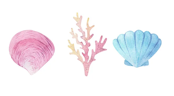 Akvarell havet uppsättning av sjöstjärnor, snäckor, snäcka på en isolerad vit bakgrund. undervattensritning, sommar clipart. För utskrift på vykort, förpackning, tyg, design, textil. — Stockfoto
