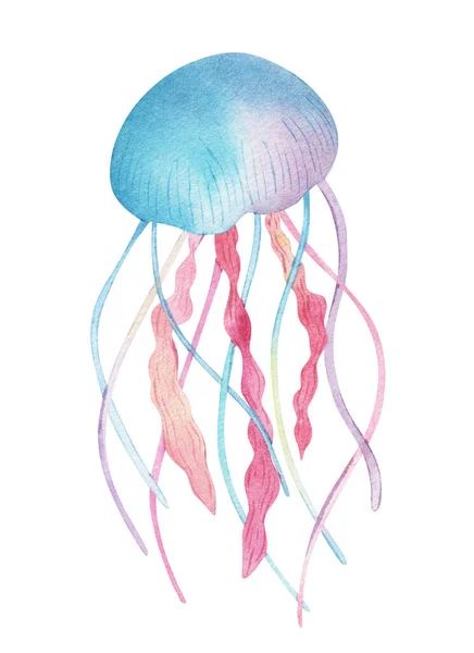 Medusas azul brillante acuarela rosa ilustración. Pequeñas medusas tropicales dibujadas a mano: criatura colorida del acuario, aislada sobre un fondo blanco. Agua salada pescado exótico caballo de mar. — Foto de Stock