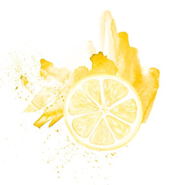 Sarı turunçgil limon meyvelerinin suluboya çizimleri. El boyaması. Beyaz bir arka planda. Mutfak tekstili, duvar kağıdı, logo, ambalaj yiyeceği, kumaş, sofra takımı için..