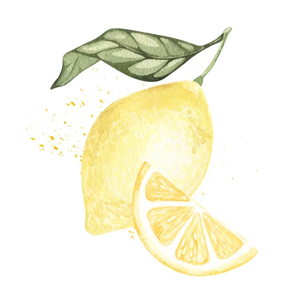Ensemble d'illustrations aquarelles d'agrumes jaunes citron fruits. Peint à la main. sur fond blanc. pour textile de cuisine, papier peint, logo, emballage alimentaire, tissus, vaisselle. — Photo