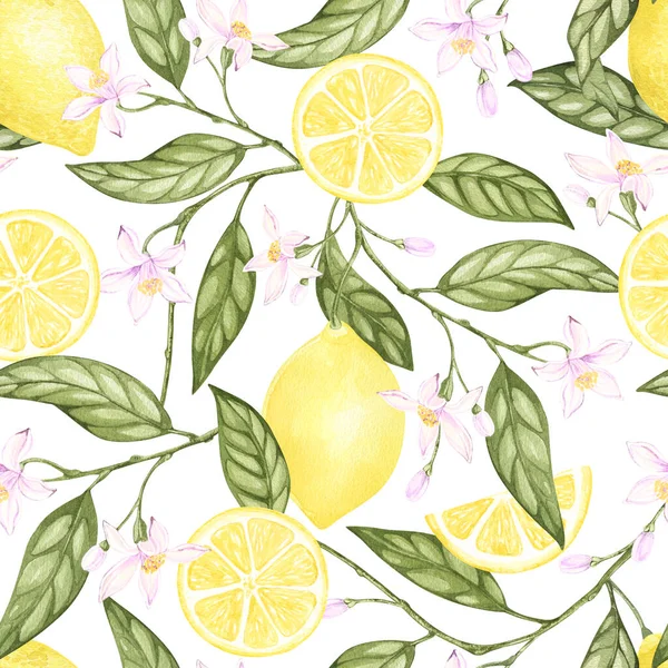 Suluboya limon pürüzsüz desen. Beyaz arka planda el çizimi. Botanik çizimi sarı turunçgil meyveleri, çiçekler, yeşil yapraklar. Yiyecek paketleme tasarımı için. Mutfak tekstili, kumaşlar, sofra takımı.. — Stok fotoğraf