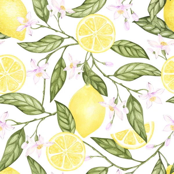 watercolor lemon seamless pattern. hand drawn on white background. Botanical illustration yellow citrus fruits, flowers, green leaves. For food packaging design. kitchen textile, fabrics, tableware.
