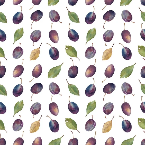 Acuarela ciruelas patrón sin costuras. ilustraciones botánicas dibujadas a mano. Boceto con frutas moradas. Aislado sobre fondo blanco. Para ropa de cama, ropa de cama, papel de embalaje, papel pintado, textiles. —  Fotos de Stock