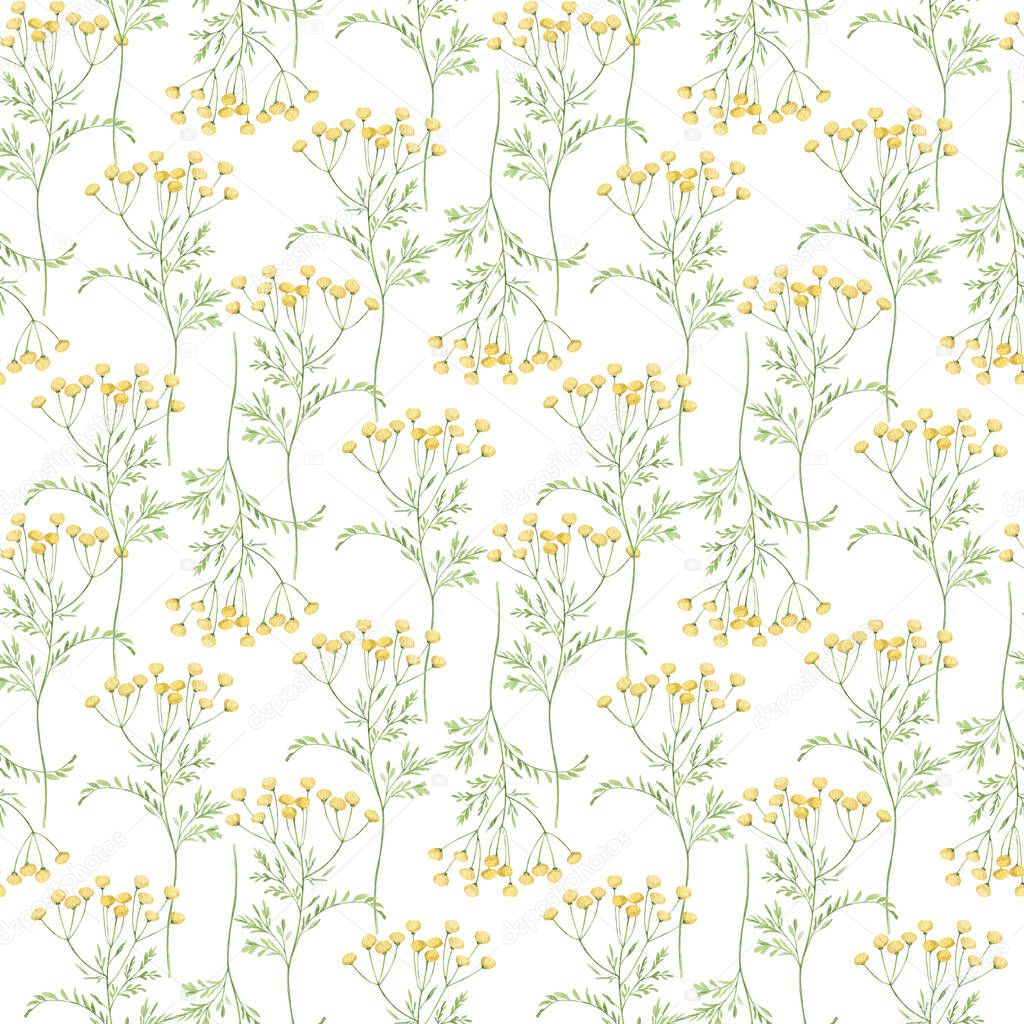Watercolor botanical seamless pattern Delicate meadow wildflowers. Hand drawn tansy Floral print. For birthday card, invitation, happy easter, mother day, linen, packaging, fabric, decoration, design.
