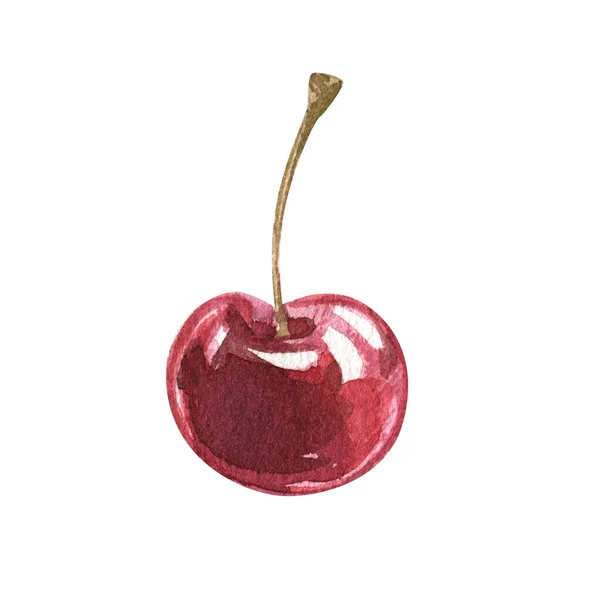 Aquarell Kirsche Clipart. Saft und frische reife Beeren. Süße Sommerkost. handgezeichnete Illustration isoliert. Kunst für Kochbuch, Küche, Dessert, Menü-Café, frohe Ostern, Design, Logo. — Stockfoto