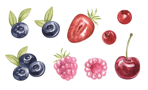 Watercolor set of juicu wild berries blueberries, raspberries, lingonberries, strawberries, blueberries, cherries. hand drawn illustration isolated. Art for cookbook, kitchen, dessert, menu cafe. — Stock Photo, Image