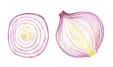 Suluboya soğan. Yemek botanik el çizimi. Beyaz arka planda izole edilmiş sebze. Tırmanma nesnesi. Kart, poster, pankart, restoran menüsü, mutfak tekstili için.