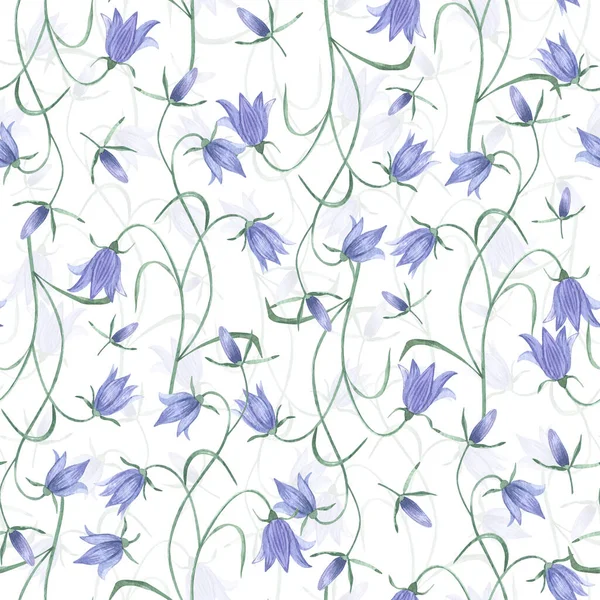 Watercolor botanical seamless pattern meadow wildflowers Campanulaceae. Hand drawn lilac flowers, natural elements on white background. For birthday, wedding card, invitation, greeting, mother day.