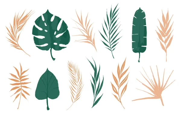 Palmgröna eller beige färgglada blad som. Akvarellmålning isolerat objekt. Sommar djungel illustration. För semester sommar design, bröllop, födelsedag, kort, inbjudan, vykort, affisch, bakgrund — Stockfoto