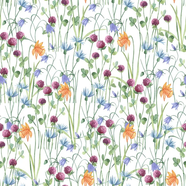 Watercolor botanical seamless pattern meadow wildflowers and garden plants. Hand drawn leaves, pink flowers, herbs and natural elements. For birthday, wedding card, invitation, greeting, mother day.