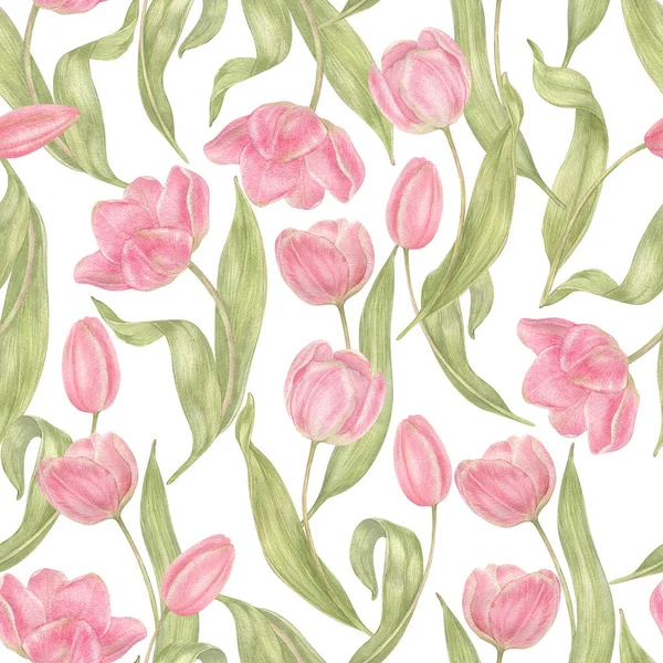 Akwarela Ręcznie Rysowane Kwiaty Tulipany Bezszwowy Wzór Wiosenna Ilustracja Botaniczna — Zdjęcie stockowe