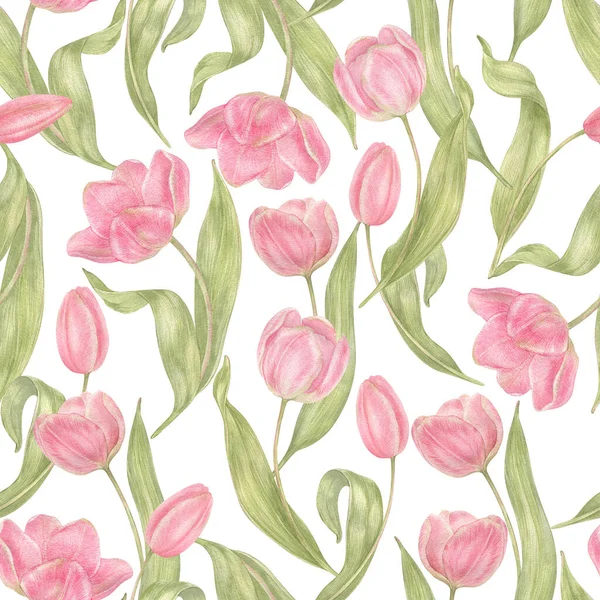 Watercolor hand drawn flowers tulips seamless pattern. Spring Botanical illustration. For background, greeting cards, invitation, birthday and mothers day, linen, wrapping paper, wallpaper, textile