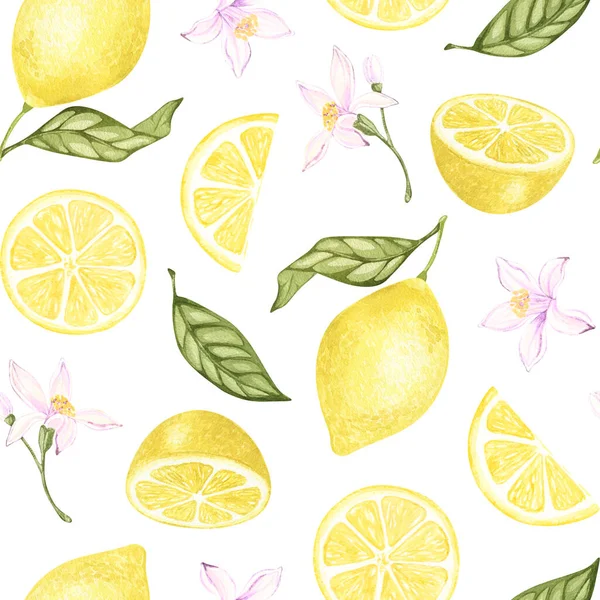 Suluboya Limon Pürüzsüz Desen Beyaz Arka Planda Çizimi Botanik Çizimi — Stok fotoğraf