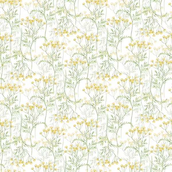 Akvarell Botaniska Sömlösa Mönster Delikat Äng Vildblommor Handritat Tansy Blommigt — Stockfoto