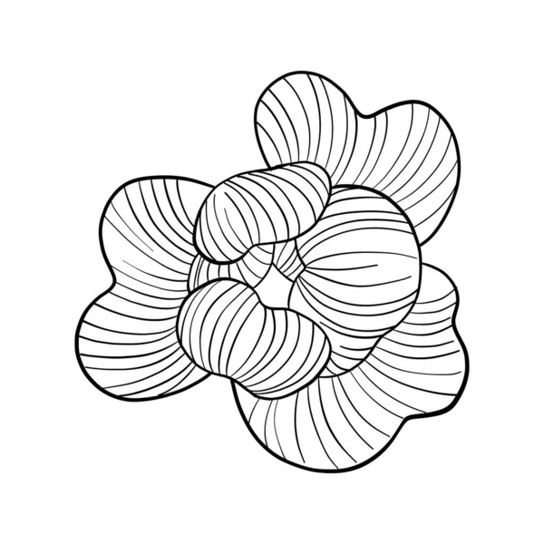 Hand Draw Line Vector Flowers Set Peony Illustration Logo Design — Stock Vector