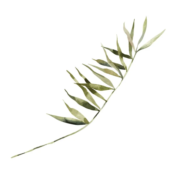 Palmgrönt Realistiskt Löv Akvarellmålning Isolerat Objekt Botanisk Illustration — Stock vektor
