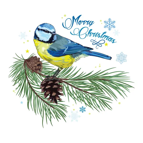 Kartu Natal. Titmouse duduk di cabang pinus dengan kerucut kepingan salju Stok Vektor