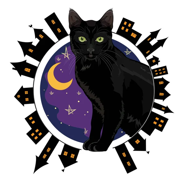 Night Old Town Black Green Eyed Cat Sitting Background Starry — Stock Vector