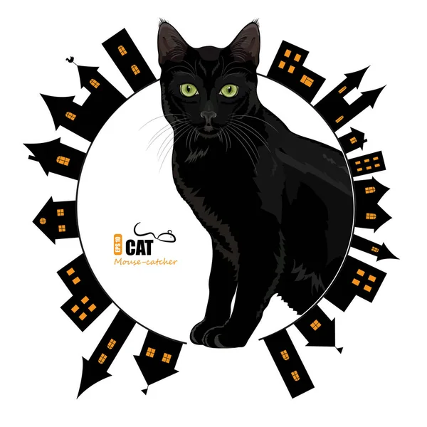 Green Eyed Black Cat Background Old City Isolated White Vector — Stock Vector