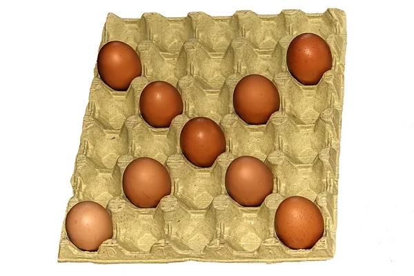 Eggs in cardboard cofrag — Stock Photo, Image