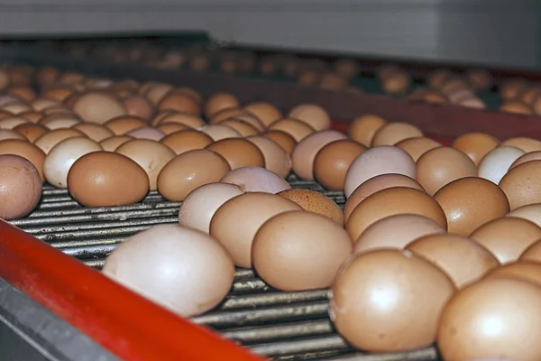 Weg eieren 3 — Stockfoto
