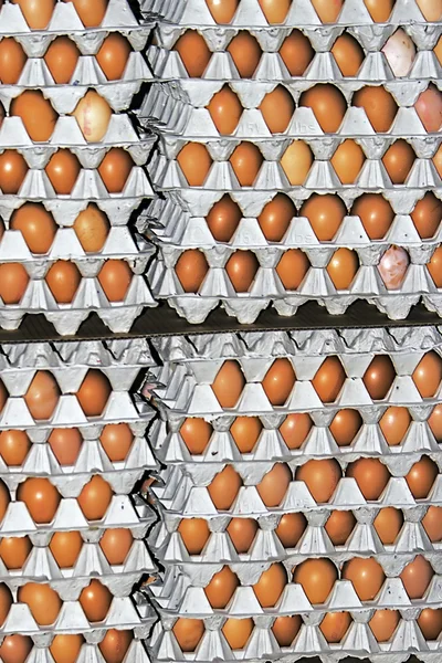 Lagrede egg 1 – stockfoto