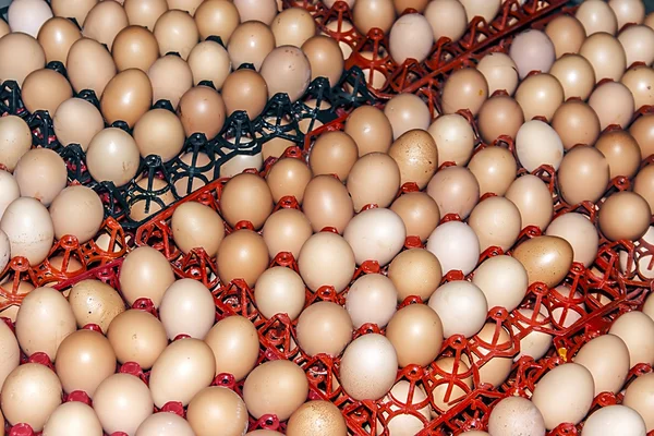 Huevos almacenados 2 —  Fotos de Stock