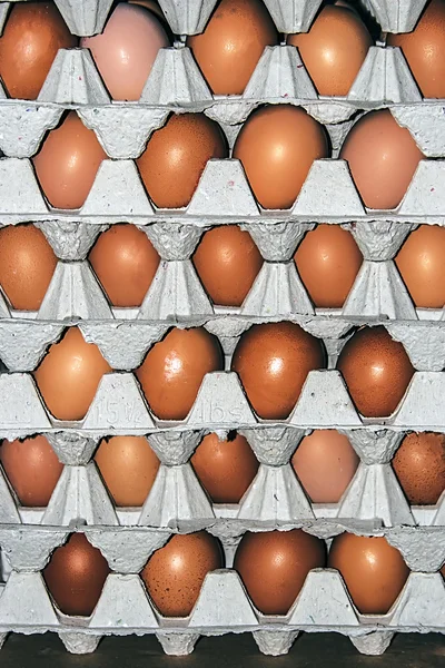 Lagrede egg 5 – stockfoto