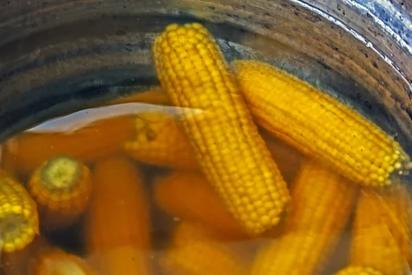 Boiled corn cobs into the bowl — Stock Photo, Image