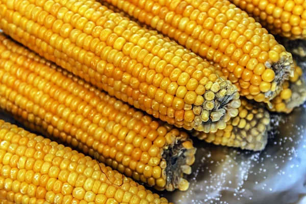 Kolby gotowanej kukurydzy 2 — Zdjęcie stockowe