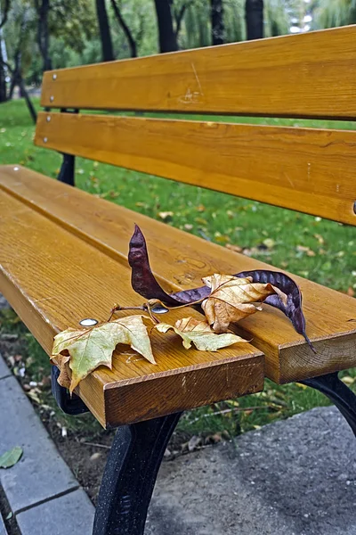Foglie di autunno su una panchina — Foto Stock