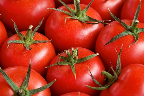 Tomatos — Stock Photo, Image