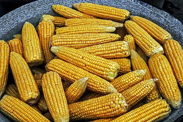 Maïs gekookt in een grote pot — Stockfoto