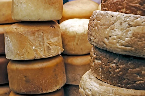 Füme peynir-2 — Stok fotoğraf