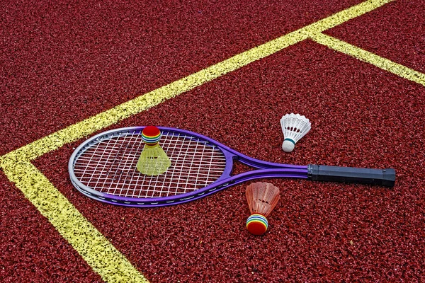 Badminton, opeřené & raketa-2 — Stock fotografie