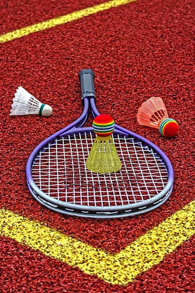 Badminton, opeřené & raketa-3 — Stock fotografie