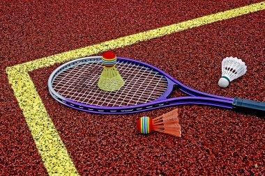 Badminton shuttlecocks ve raket-5