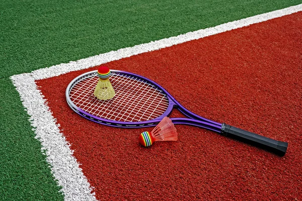 Badmintonshuttles & Racket-7 — Stockfoto